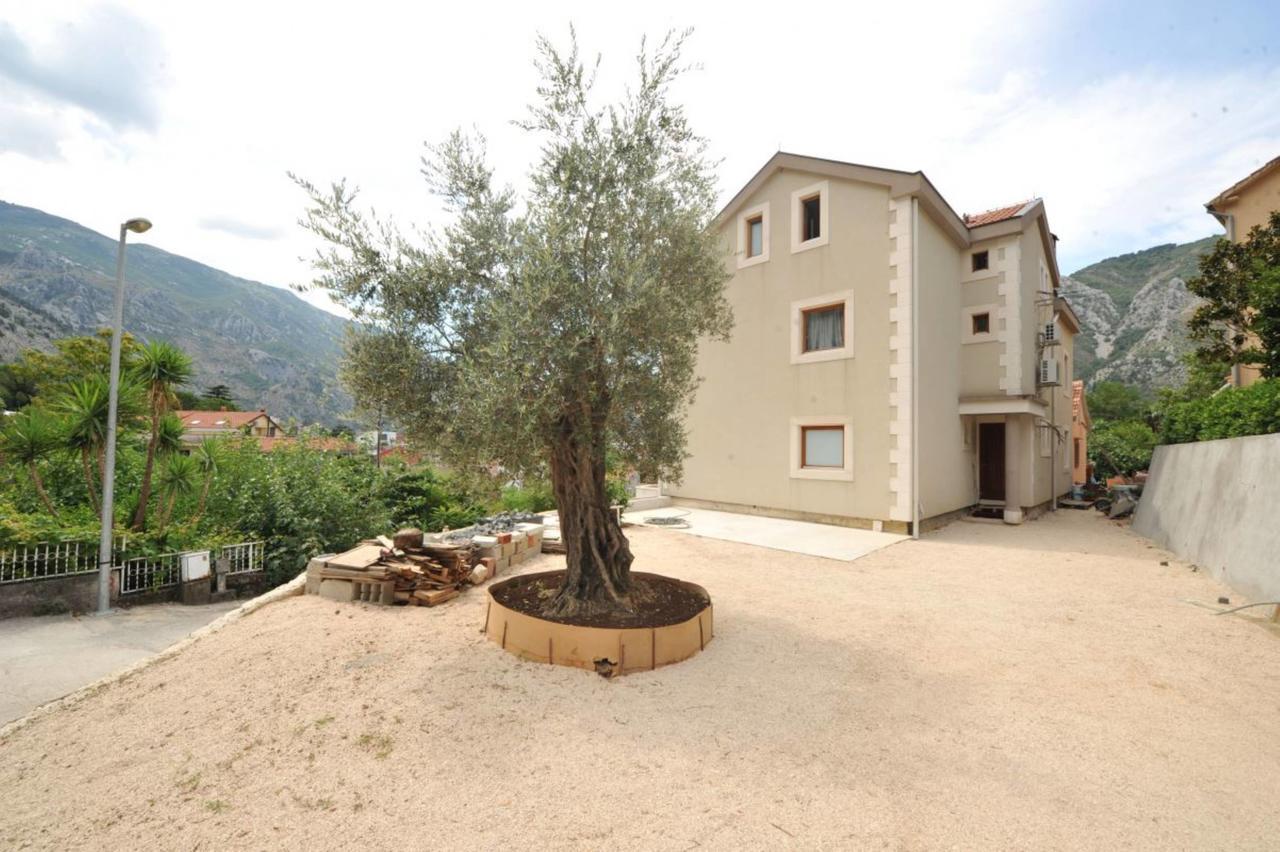 Apartments Olive Kotor Dış mekan fotoğraf